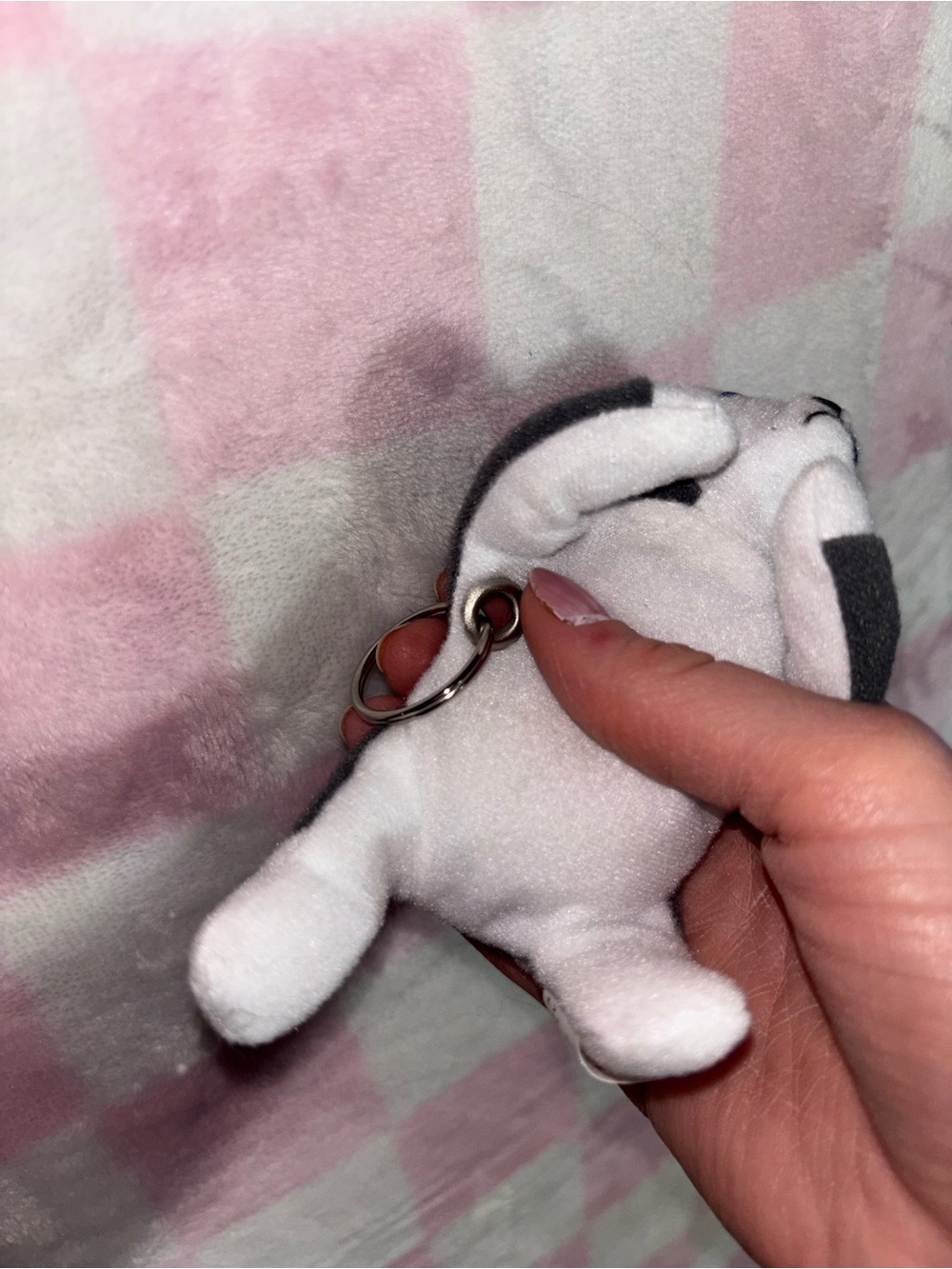 Ty Beanie Baby Puppy Dog Keychain Plush Gray White Blue Eyes husky dog lover - Picture 4 of 5